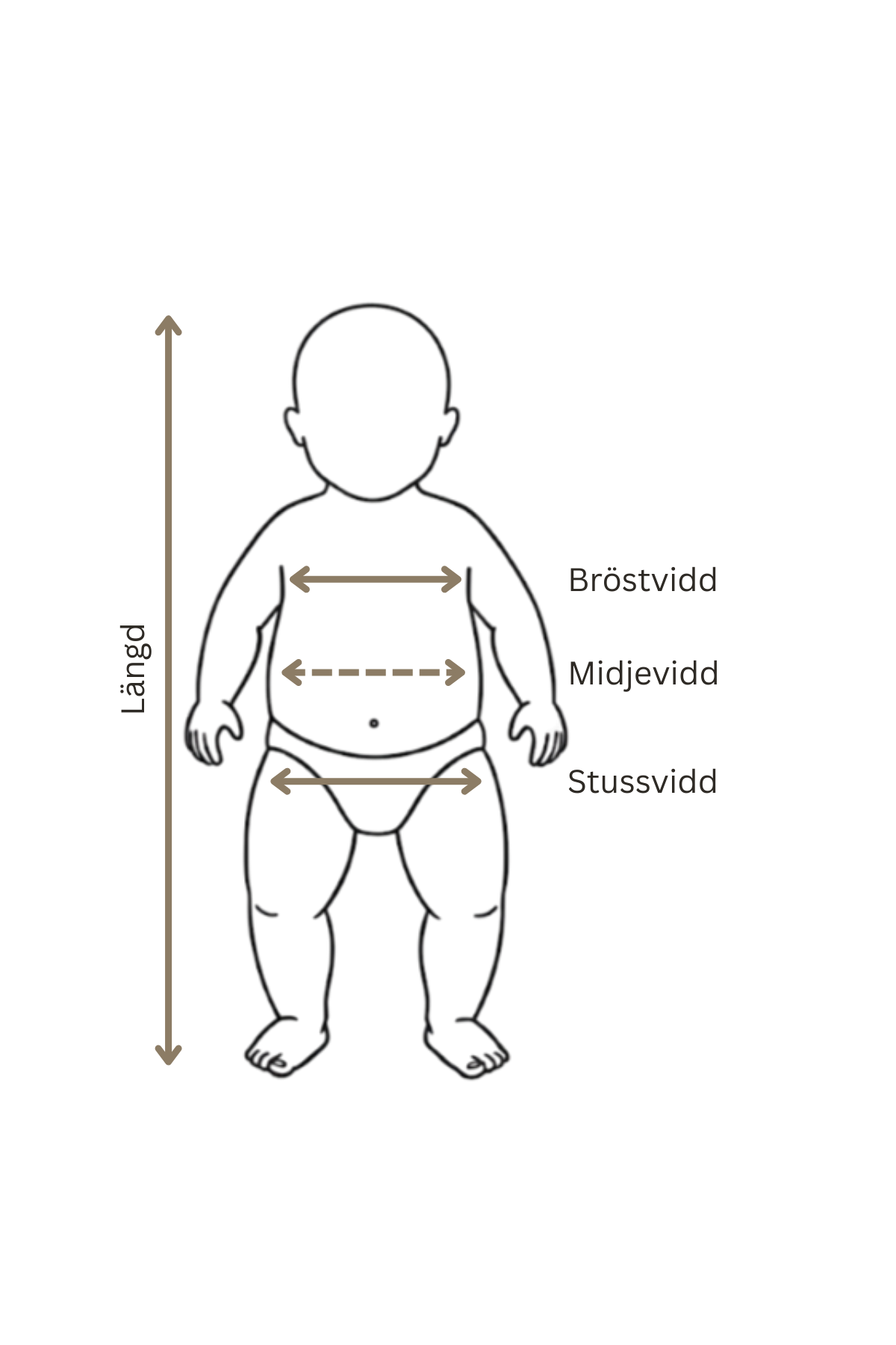 Illustrerad guide som visar hur du mäter bröstvidd, midjevidd, stussvidd och längd